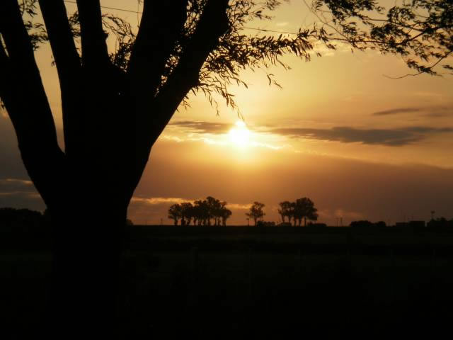 1° premio concurso "San José, sus paisajes y su gente"
